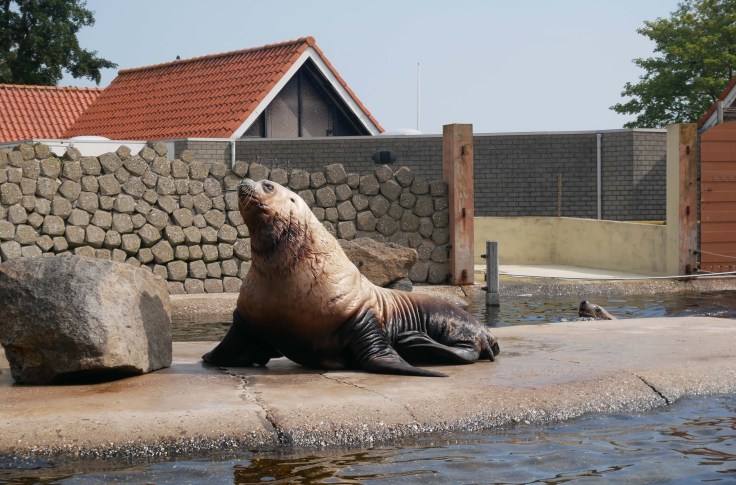 Family-travel-blog-holland