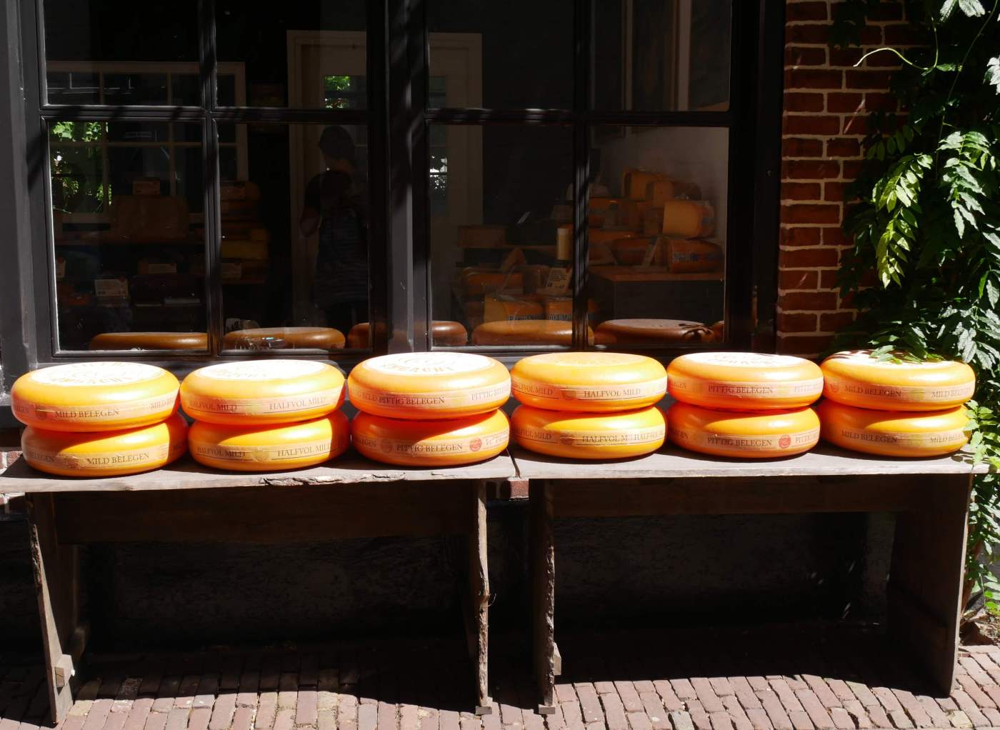 Family-travel-blog-holland