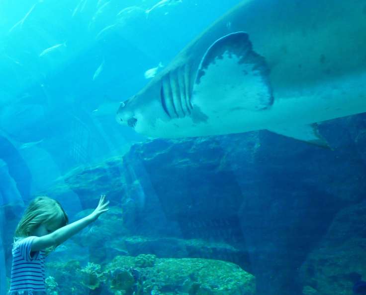 Round the world with my family at Dubai aquarium