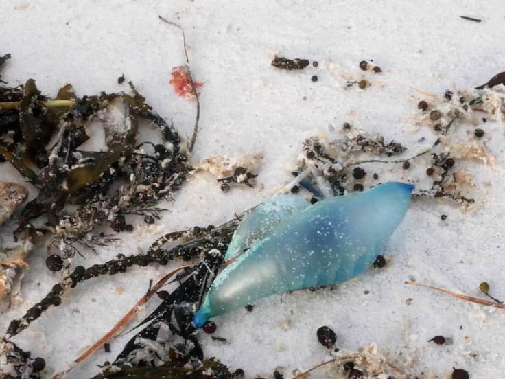 RTW family trip, Western Australia