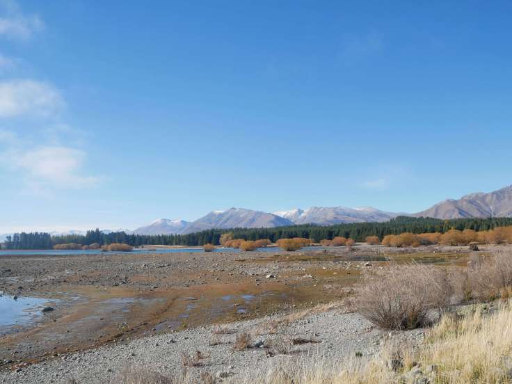 Family travel blog in New Zealand