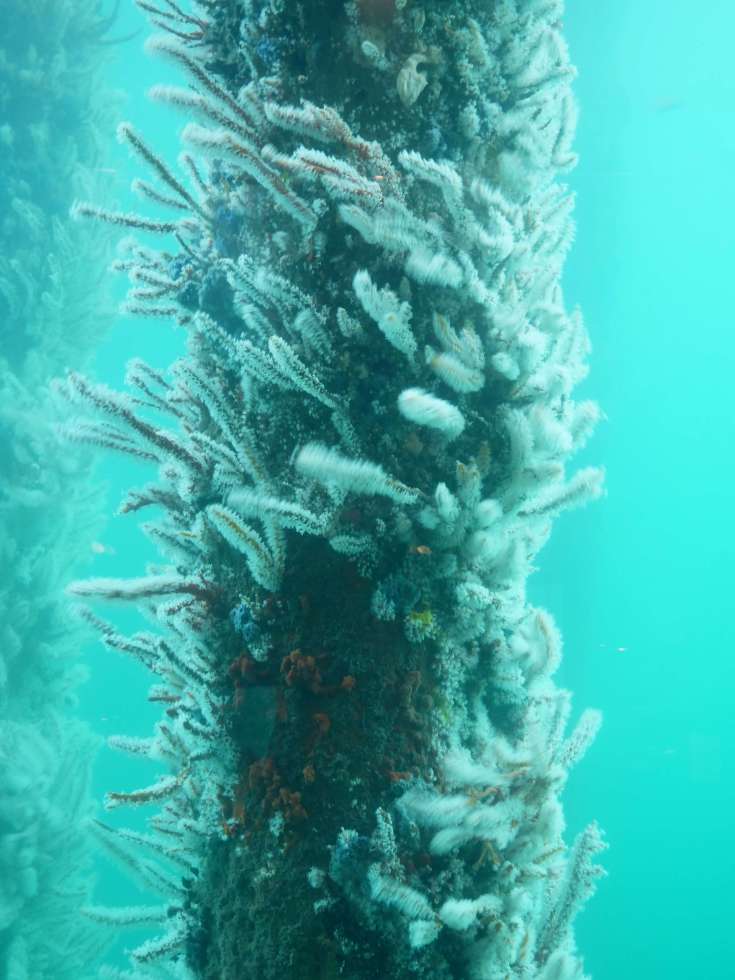 Family round the world trip