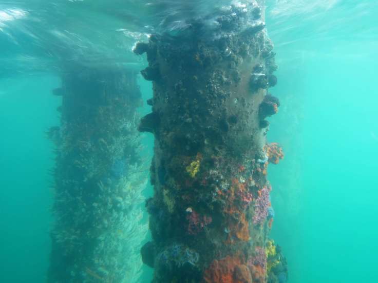 RTW Family in Busselton, WA