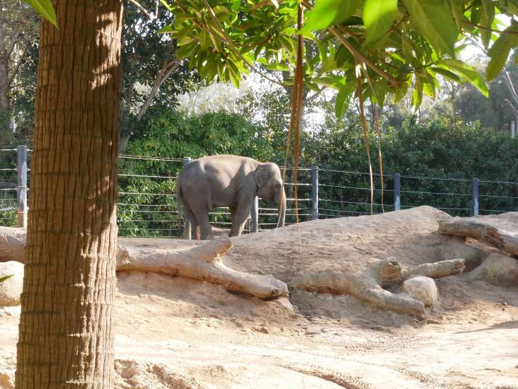 RTW family in Melbourne