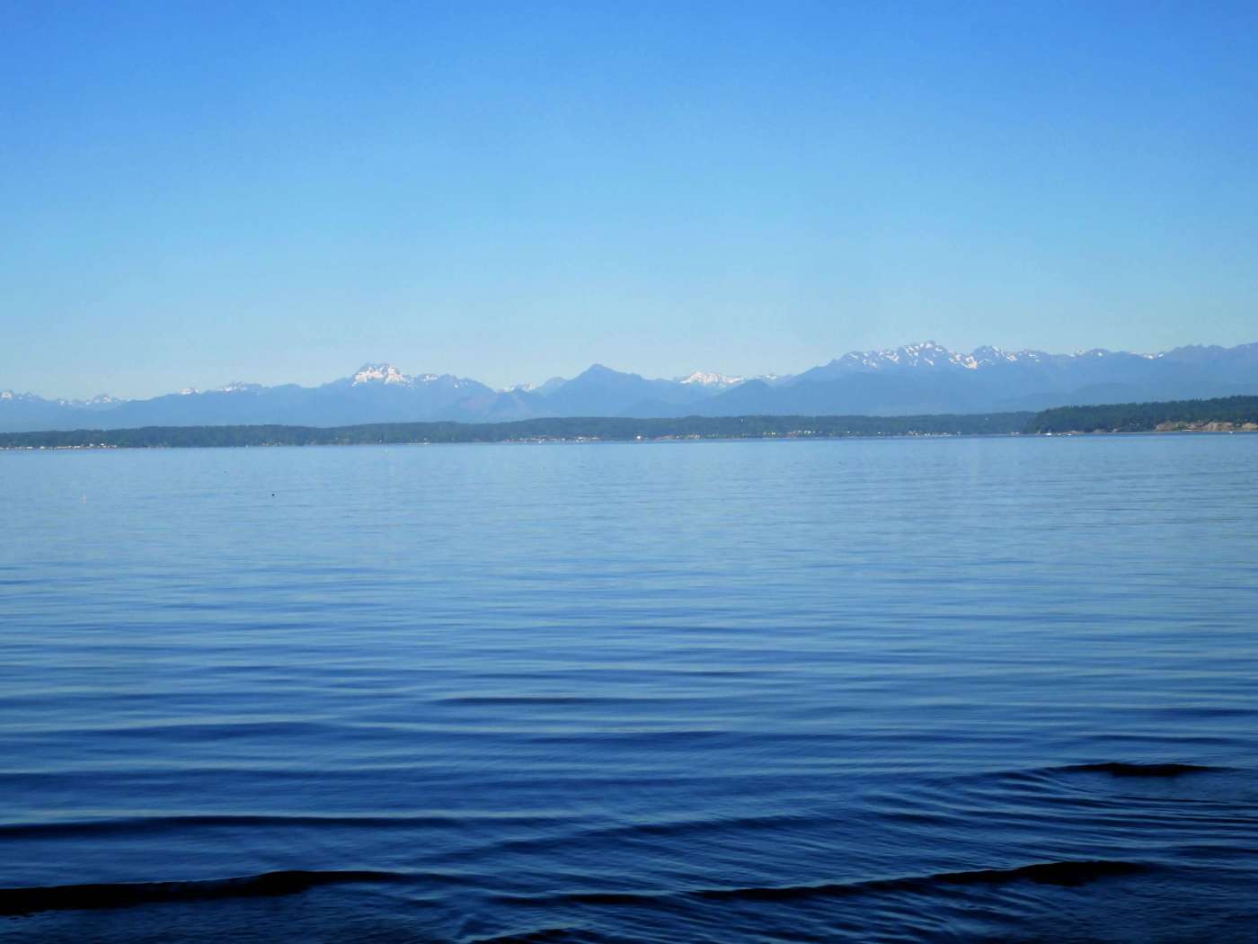 Seattle to Vancouver train